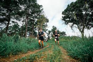 BIB: 
                            <button type="button" onclick="openModal(26034337)" class="btn btn-primary btn-sm float-right btn-popup" data-toggle="modal" data-target=".modal-high-quality">
                        <i class="fas fa-shopping-cart"></i> Add to Cart
                    </button>
                                            <button type="button" onclick="isThisMe(26034337, true)" class="btn btn-success btn-sm float-right btn-popup btn-isme hidden" data-toggle="tooltip" data-placement="bottom" title="นี่คือรูปของคุณใช่ไหม คลิกที่นี่เพื่อเอาเข้าอัลบั้ม">
                        <i class="fas fa-plus"></i> Add to album
                    </button>
                    <button type="button" onclick="isThisMe(26034337, false)" class="btn btn-warning btn-sm float-right btn-popup btn-isnotme hidden">
                        <i class="fas fa-ban"></i> Remove from album
                    </button>